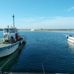 先週に引き続き