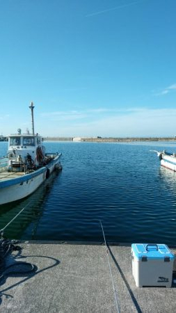 先週に引き続き