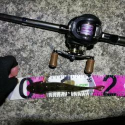 南港へち釣行 （11/5 南港ヘチ釣り キビレチヌ41cm、ハゼ 釣果有り）