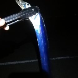 久しぶりにタチウオ探して