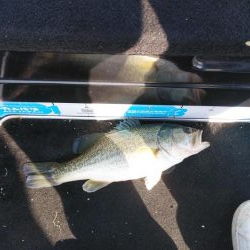 スピニングタックル