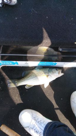 スピニングタックル