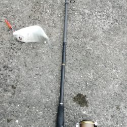 ライトショアジギング