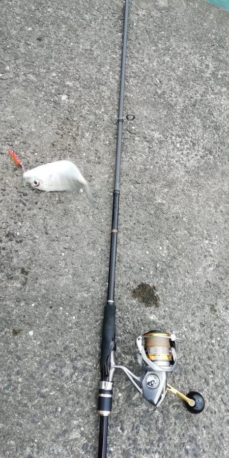 ライトショアジギング