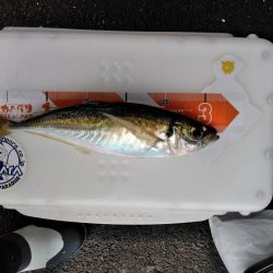 フカセが一番・・面白いです・・