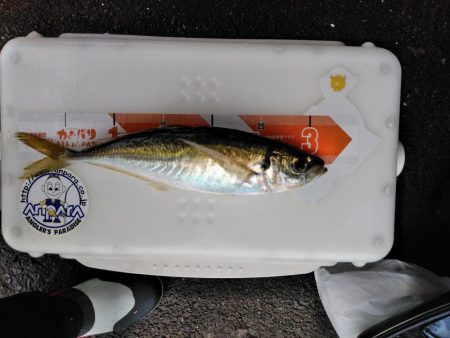 フカセが一番・・面白いです・・