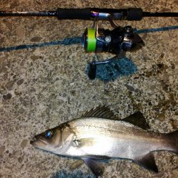 サイズはそれほど