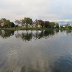 平日の管理釣り場は厳しかった!