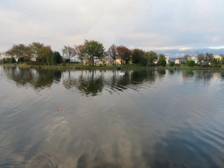 平日の管理釣り場は厳しかった!