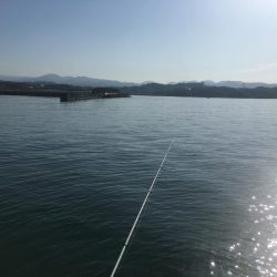 ハモ70㎝1匹、アジ10匹