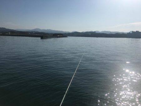 ハモ70㎝1匹、アジ10匹