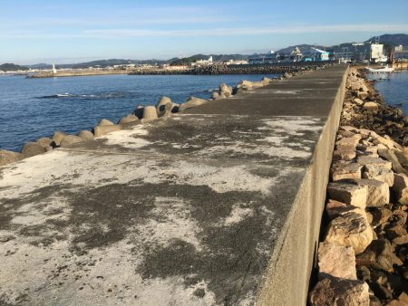 尺アジ、ヘダイ