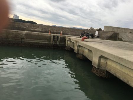 コアジ71匹、ヒイラギ30匹