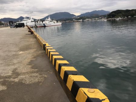 コアジ93匹、中アジ（25㎝）1匹、ガシラ1匹