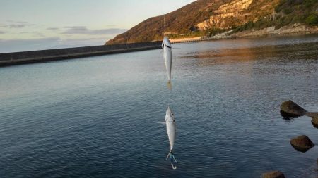 お初がダブルで来たよ