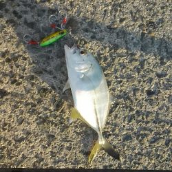 横風が冷たかったです