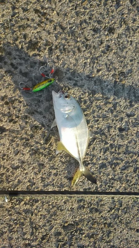 横風が冷たかったです