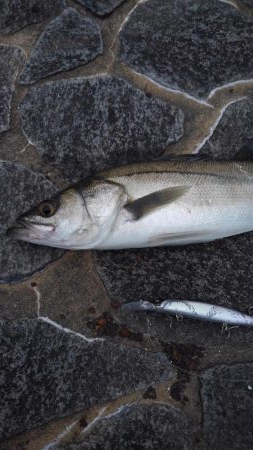 もう、終息ですか？！