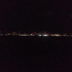 どこに行けば青物がつれるのですか？