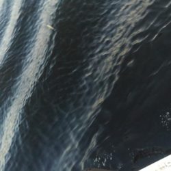 久しぶりのナブラでしたが・・・。