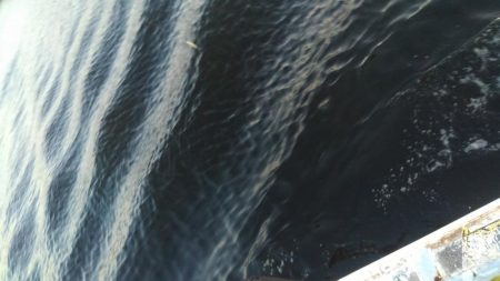 久しぶりのナブラでしたが・・・。