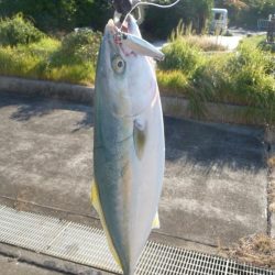 ジグでドラゴン!?