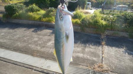 ジグでドラゴン!?