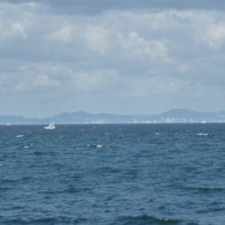 両隣は釣れてるのに。。