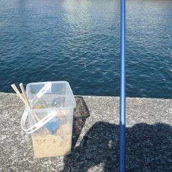 ボウズ逃れのサビキ