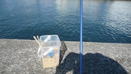 ボウズ逃れのサビキ