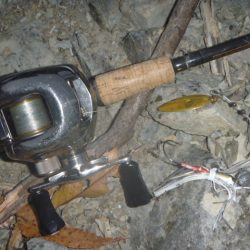 やっぱりスロー