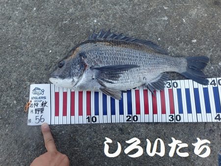 短時間で、良く釣れました。