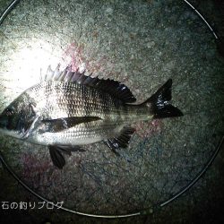 秋の上物釣り