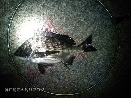 秋の上物釣り