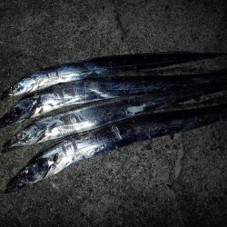 ギリギリ超えた(^^)