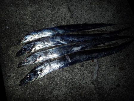 ギリギリ超えた(^^)