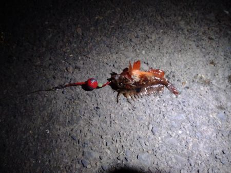 投げ釣りからのブラクリ