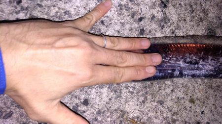 入れ食いタチウオ