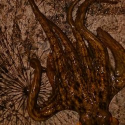 宇宙人シリーズ