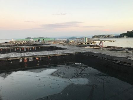 久しぶりの海上釣堀