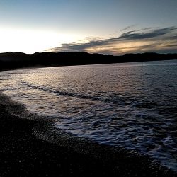 アオリイカ　これからが楽しみです♪♪