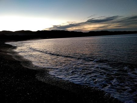 アオリイカ　これからが楽しみです♪♪