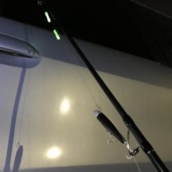 必死のパッチのタッチー