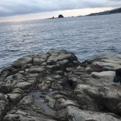 激シブでも大潮の南紀串本でエギング、アオリイカ釣果