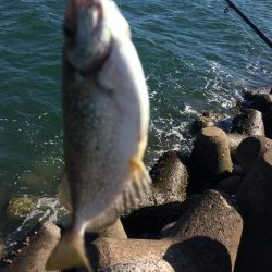 ふかせ釣り練習中！