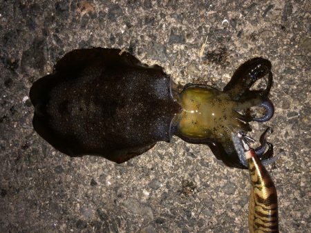 あのアジュールで