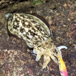 南紀遠征しました！