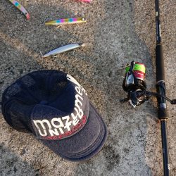 サーフヒラメ シーズン到来!?