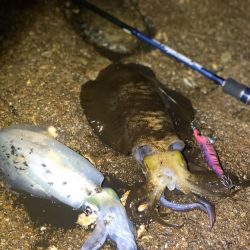 時間限定の場所