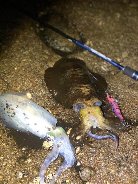 時間限定の場所